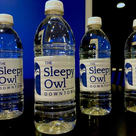 The Sleepy Owl Otel Fort Frances Dış mekan fotoğraf